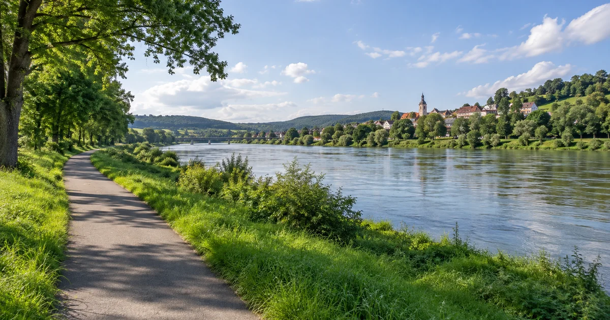 Asfaltová cyklostezka vede podél široké řeky mezi zelenými loukami a stromy, v dálce město